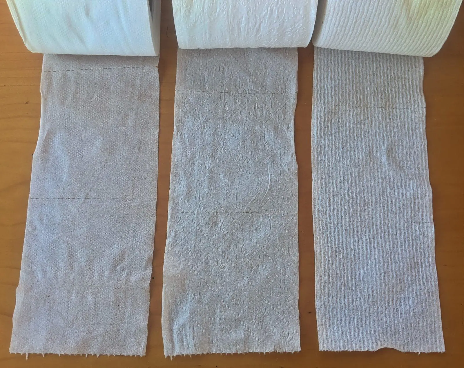 Thetford fast dissolve, Caboo bamboo biodegradable, and Scott fast dissolve "bath tissues"
