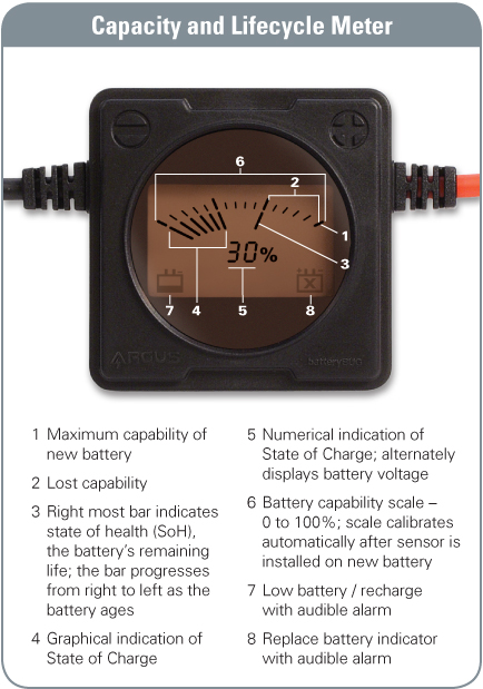 Bugs 2024 6 battery