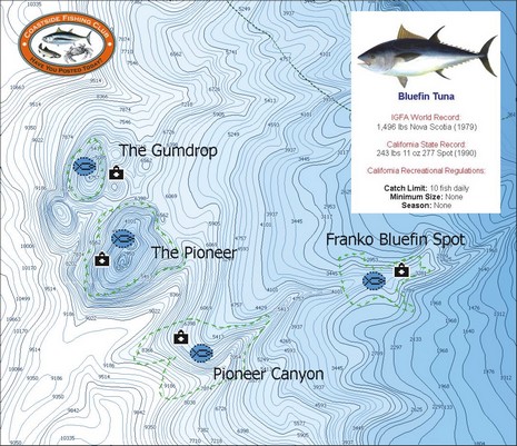 C-Map fishing charts, all but the bait - Panbo