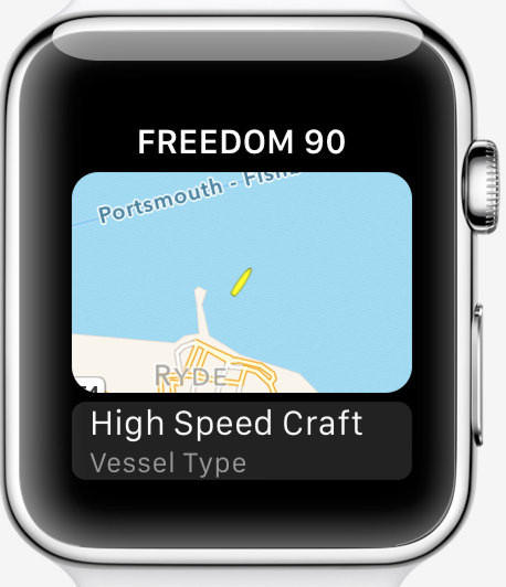 apple watch cruise ship