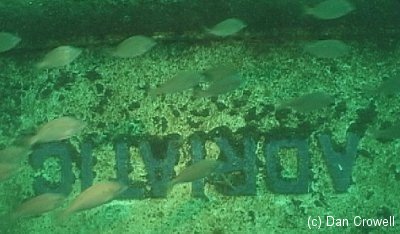 Adriatic_name_on_bow_from_njscuba