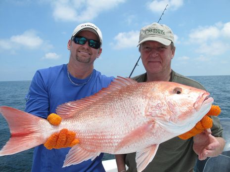 Fishing DVDs - Snapper