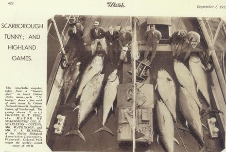 Scotland_tuna_fishing_1933_courtesy_Airmar.jpg