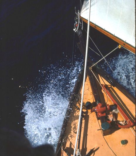 Alice_1978_bow_cPanbo.jpg