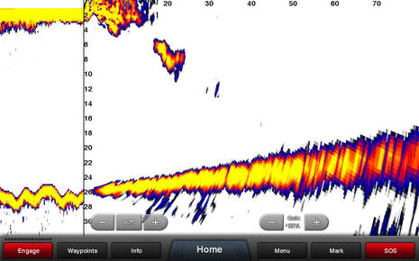 Garmin Panoptix All-Seeing Sonar, GPSmap 7x16, and BlueChart Mobile 2.0 -  Panbo