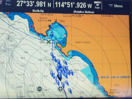 Baja HaHa rally AIS on Raymarine courtesy Hartley Gardner.jpg