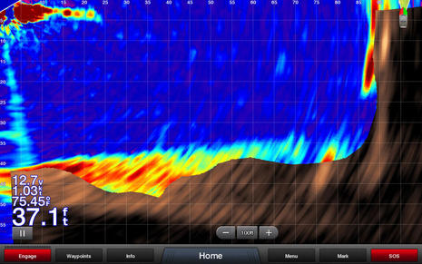 Garmin_2016_Panoptix_PS21_ForwardVu_cPanbo.jpg