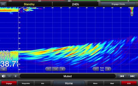 Garmin Panoptix PS21 LiveVu Screenshot