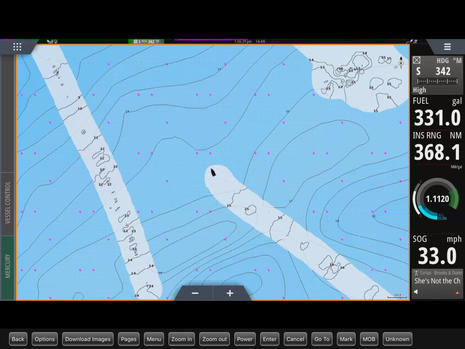 Navico_Navionics_SonarChart_Live_on_iPad_GoFree_app_screen_cPanbo.jpg