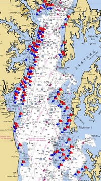 memory_map -pound-nets