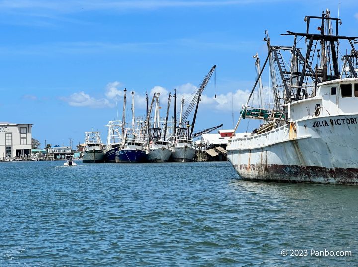 The Fort Myers Beach shrimp fleet is back in the water and some boats are fishing