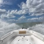 LencoProControl-RoughDay-cPanbo