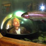 Jim_Fullilove_LL_Bean_salmon_aquariium_1-2013